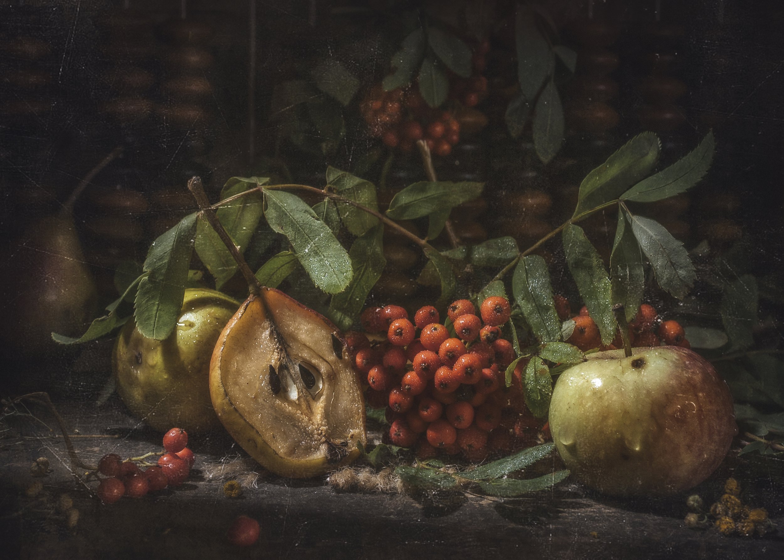 фрукты,осень,яблоки,рябина,груши,счёты,текстура, Владимир Володин