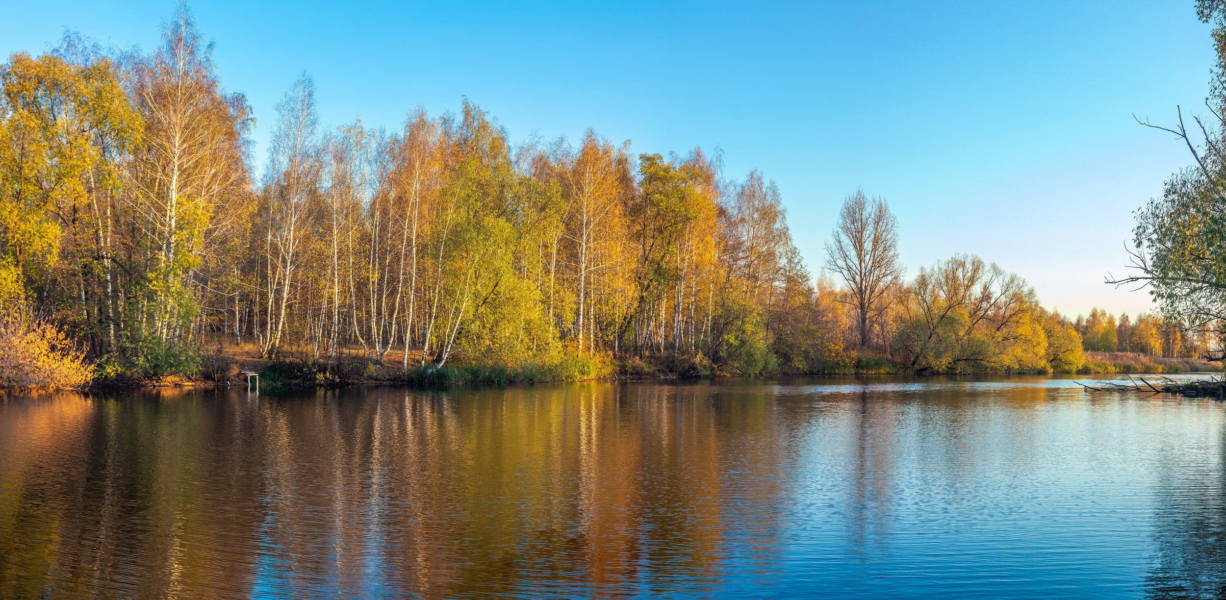 золотая осень, октябрь, река, усмань, вечер, природа, Руслан Востриков