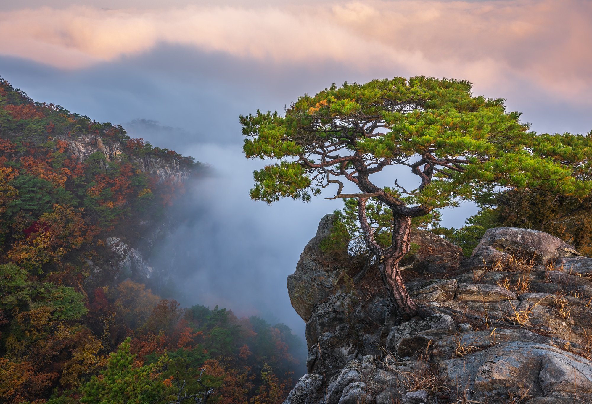 mountains,peak,hiking,fog,clouds,autumn, Jaeyoun Ryu