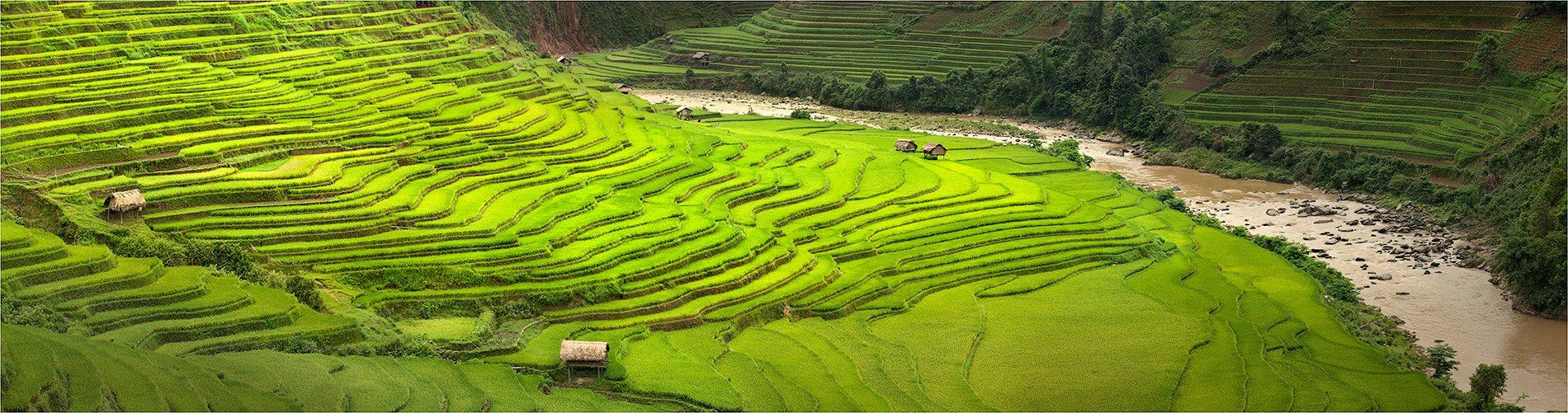 вьетнам, рисовые, террасы, Yury Pustovoy (artphoto-tour.com)