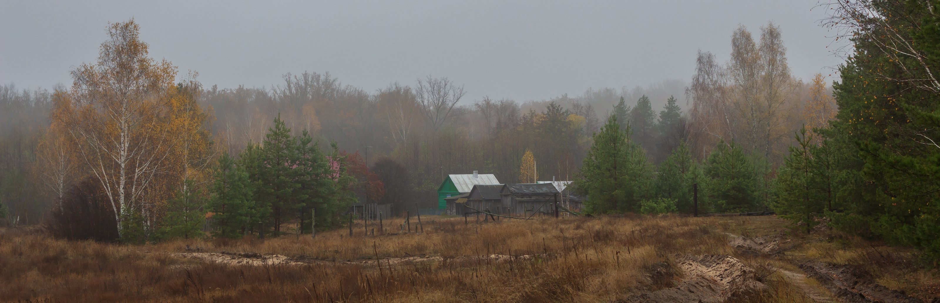 осень, деревня, туман, октябрь, лес, Руслан Востриков
