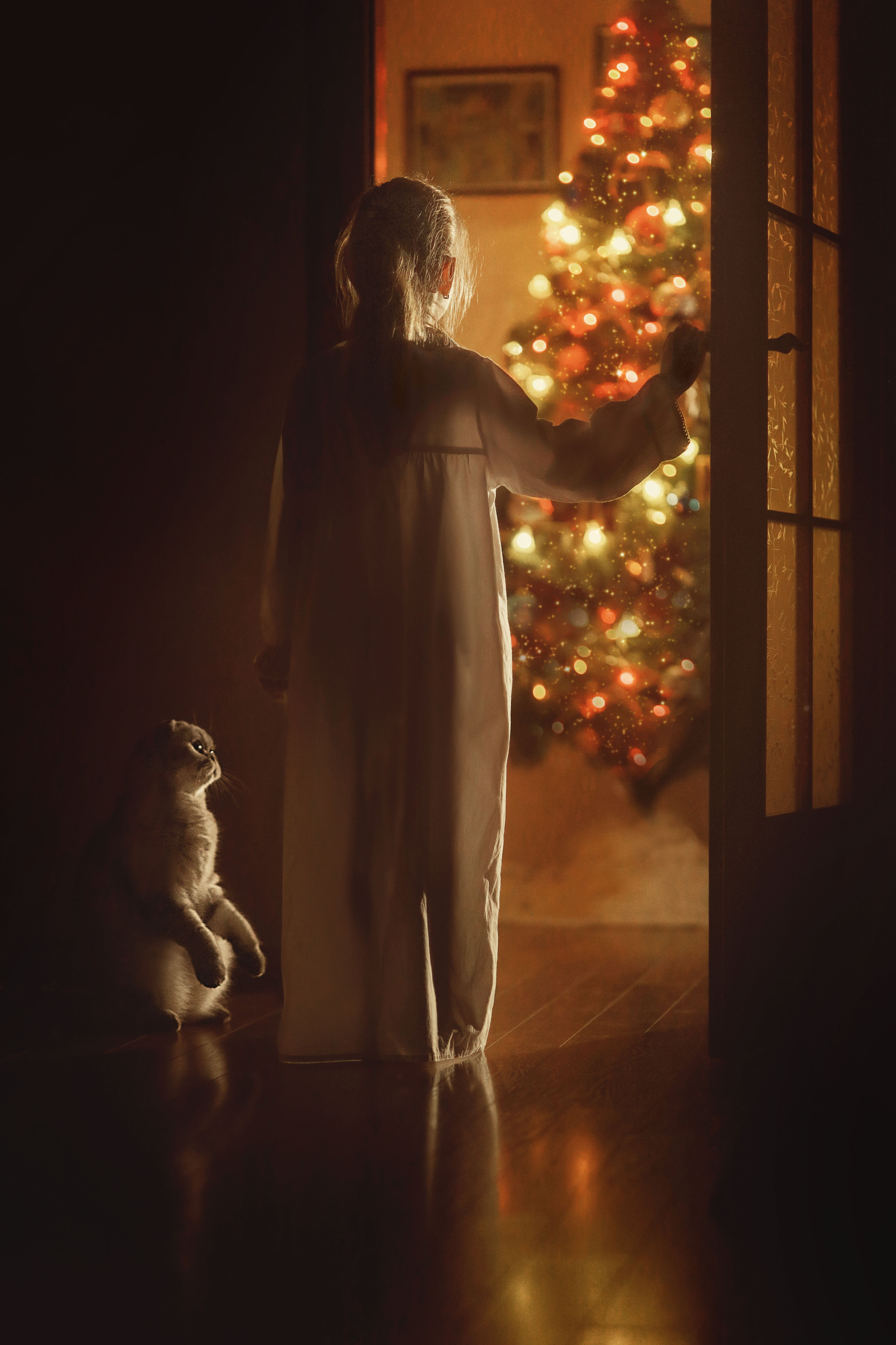 девочка кот елка рождество гирлянды магия сказка взгляд детство сказка, Марина Еленчук