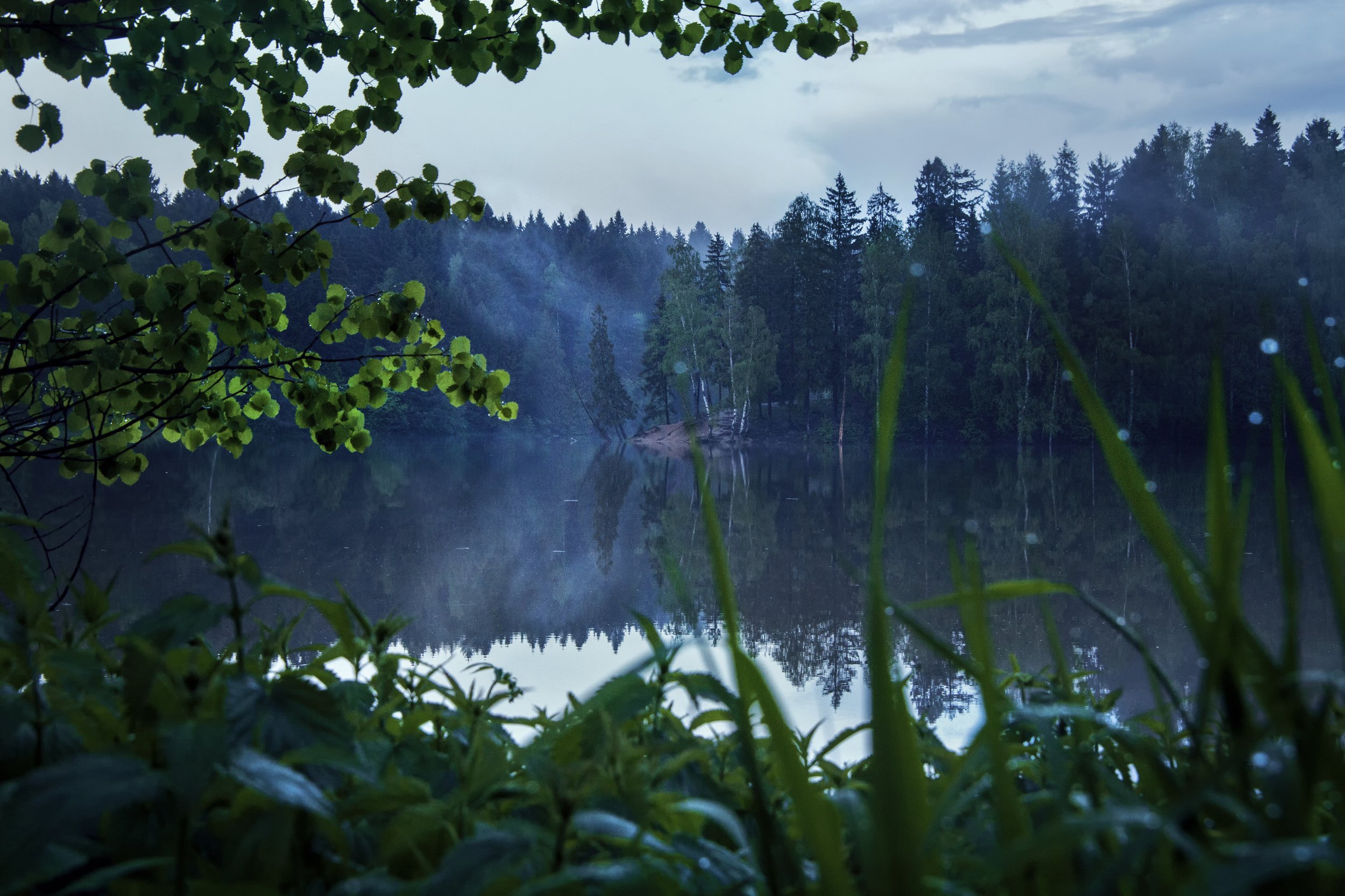 пейзаж, озеро, туман , Евгения Ботова