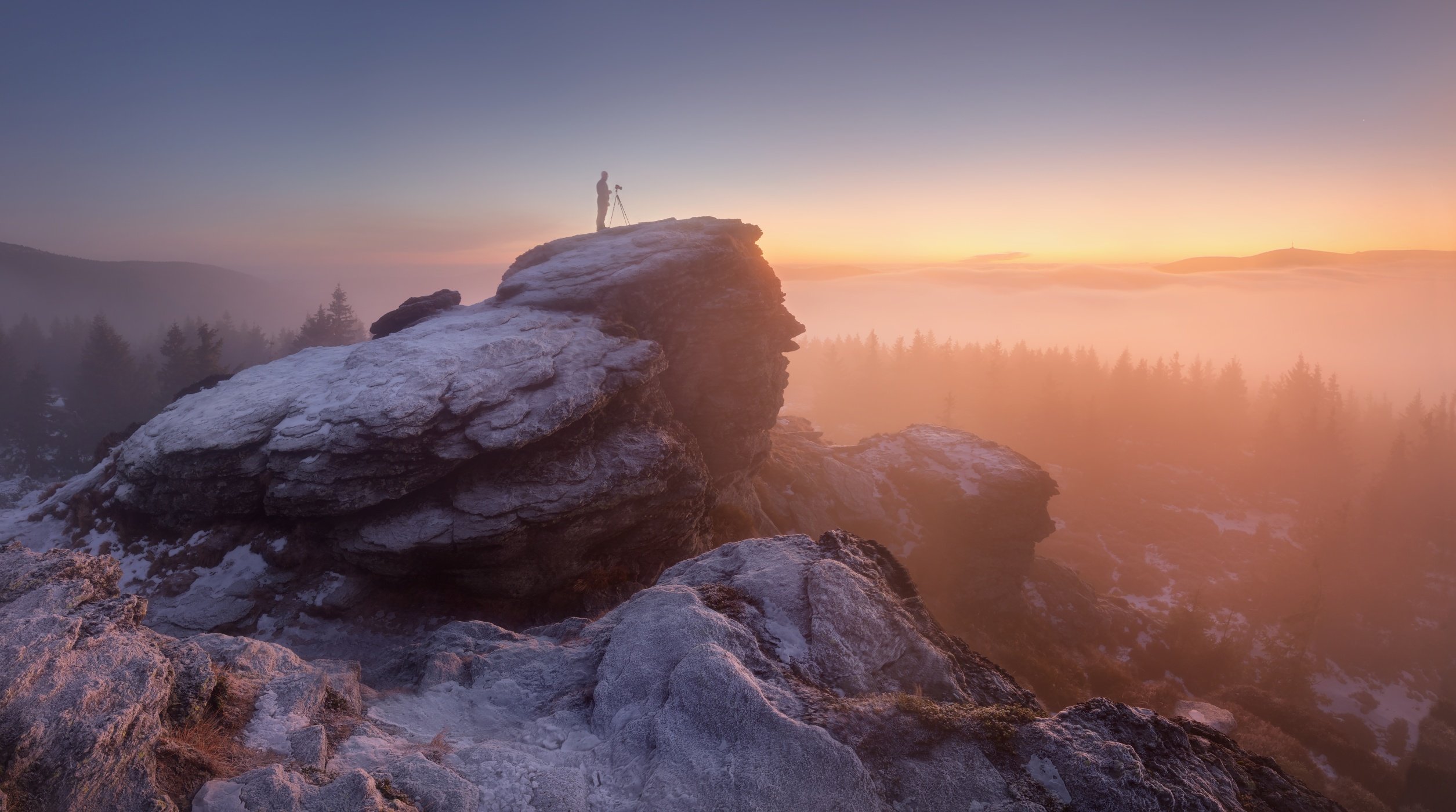 landscape, tree, panorama, fog, winter, mountain, Petr Fiala