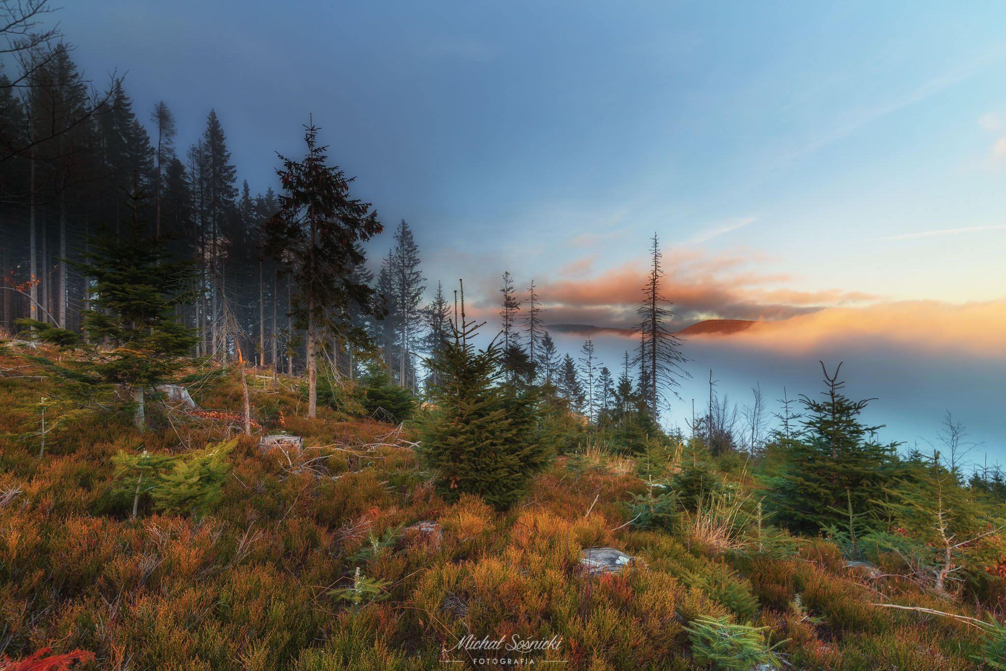 #poland #mountains #benro #benq #pentax #tree #nature #best #sky #trees #clouds #colors, Michał Sośnicki