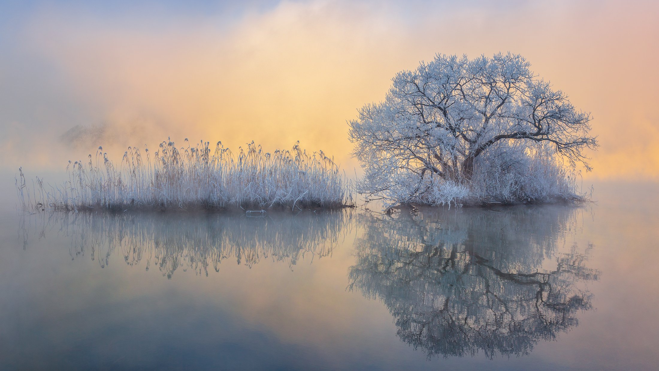 clouds,snow,fog,winter,nature,river,water,frost,frozen,cold,tree, Jaeyoun Ryu