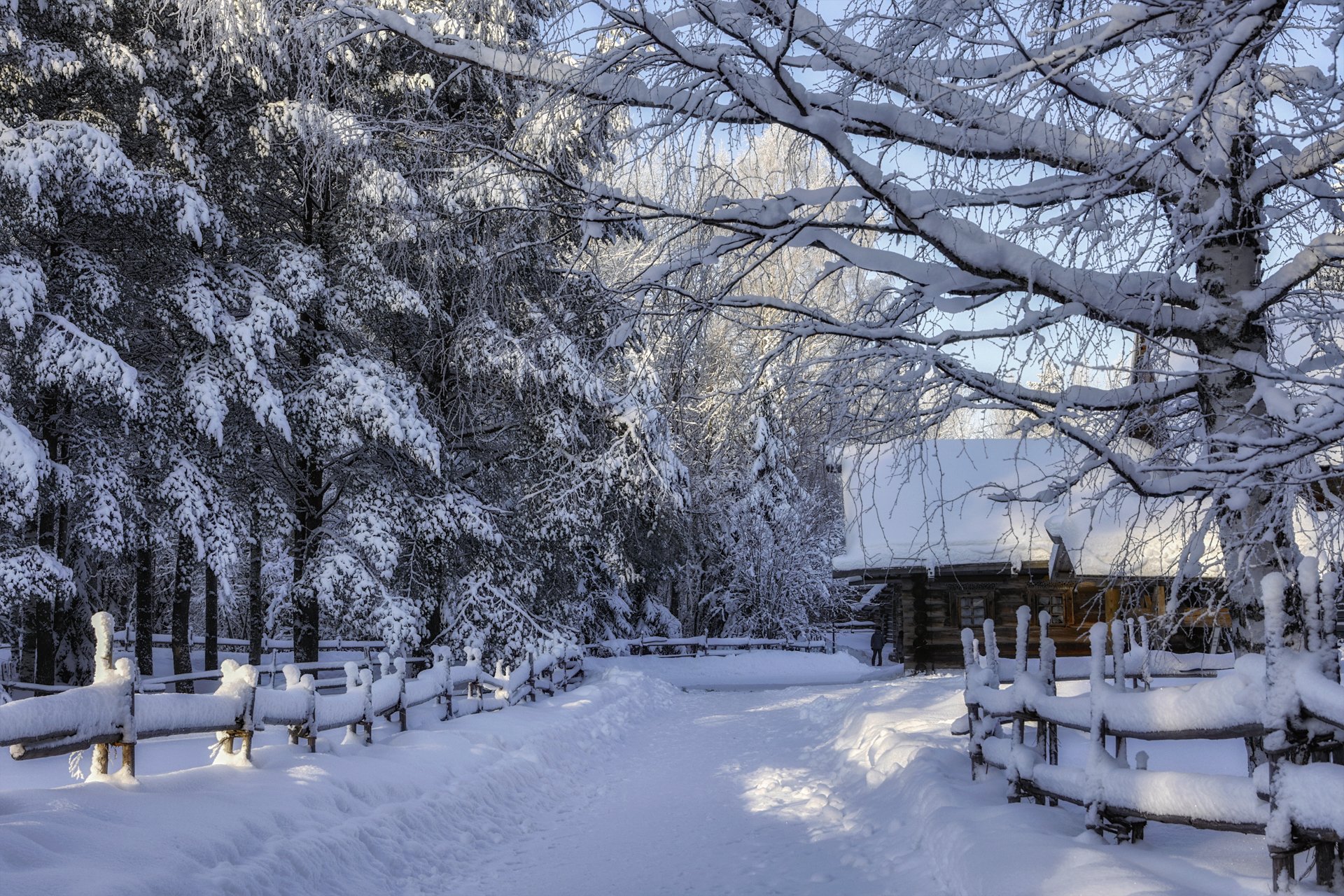 зима мороз иней деревья ветки снег сугробы дорога деревня дома изгородь, Ра Вера