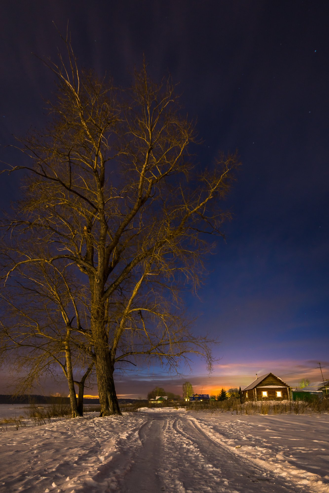 ночь дерево зима дом закат , Жданов Дмитрий