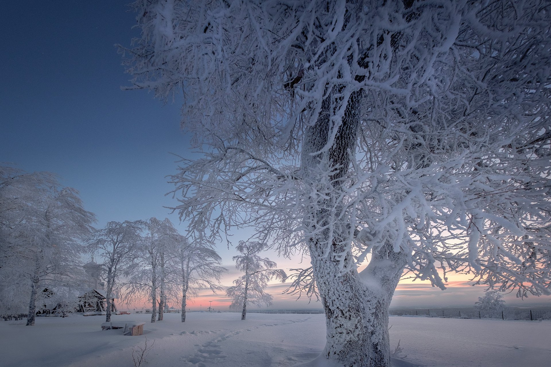 деревья, зима, рождество, ночь, холод, мороз, монастырь, белая, гора, Андрей Чиж