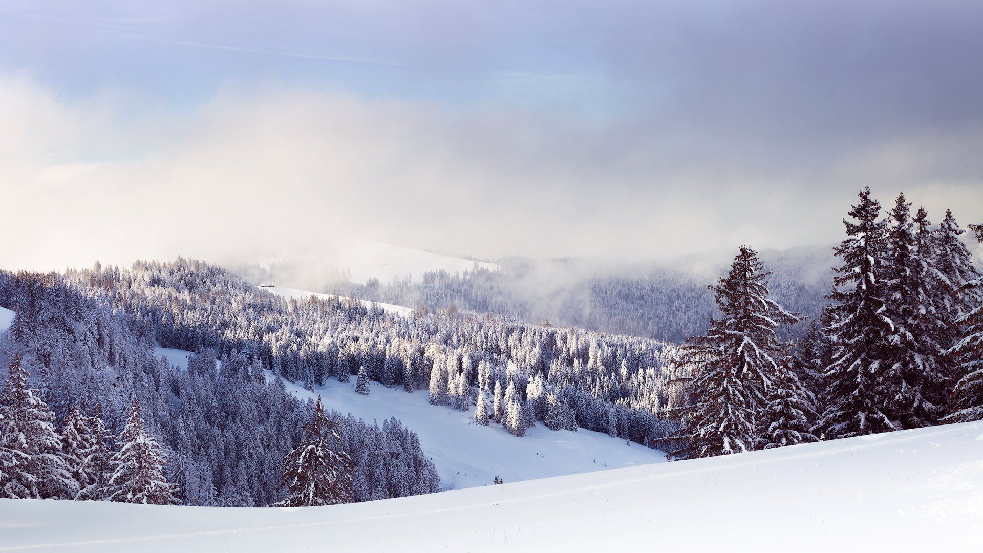 горы,снег, швейцария, туризм,солнце,воздух, Андрей Огнев