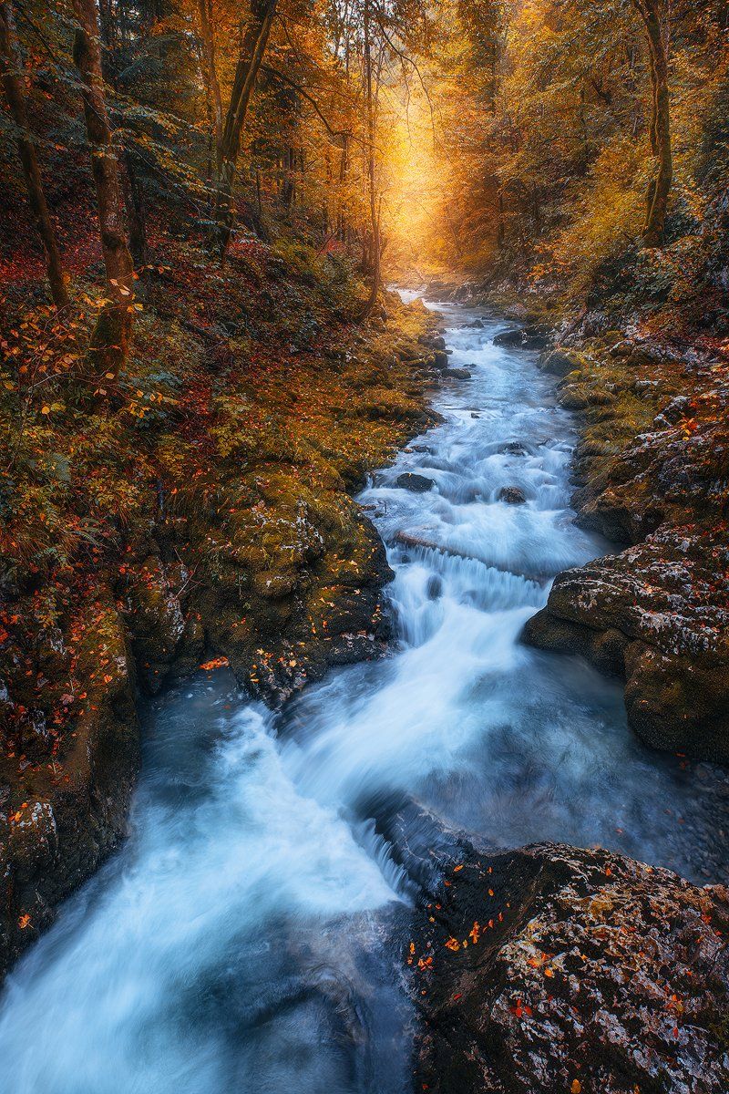 kkamacnik, croatia, autumn, river, foliage, fall, forest, , Roberto Pavic