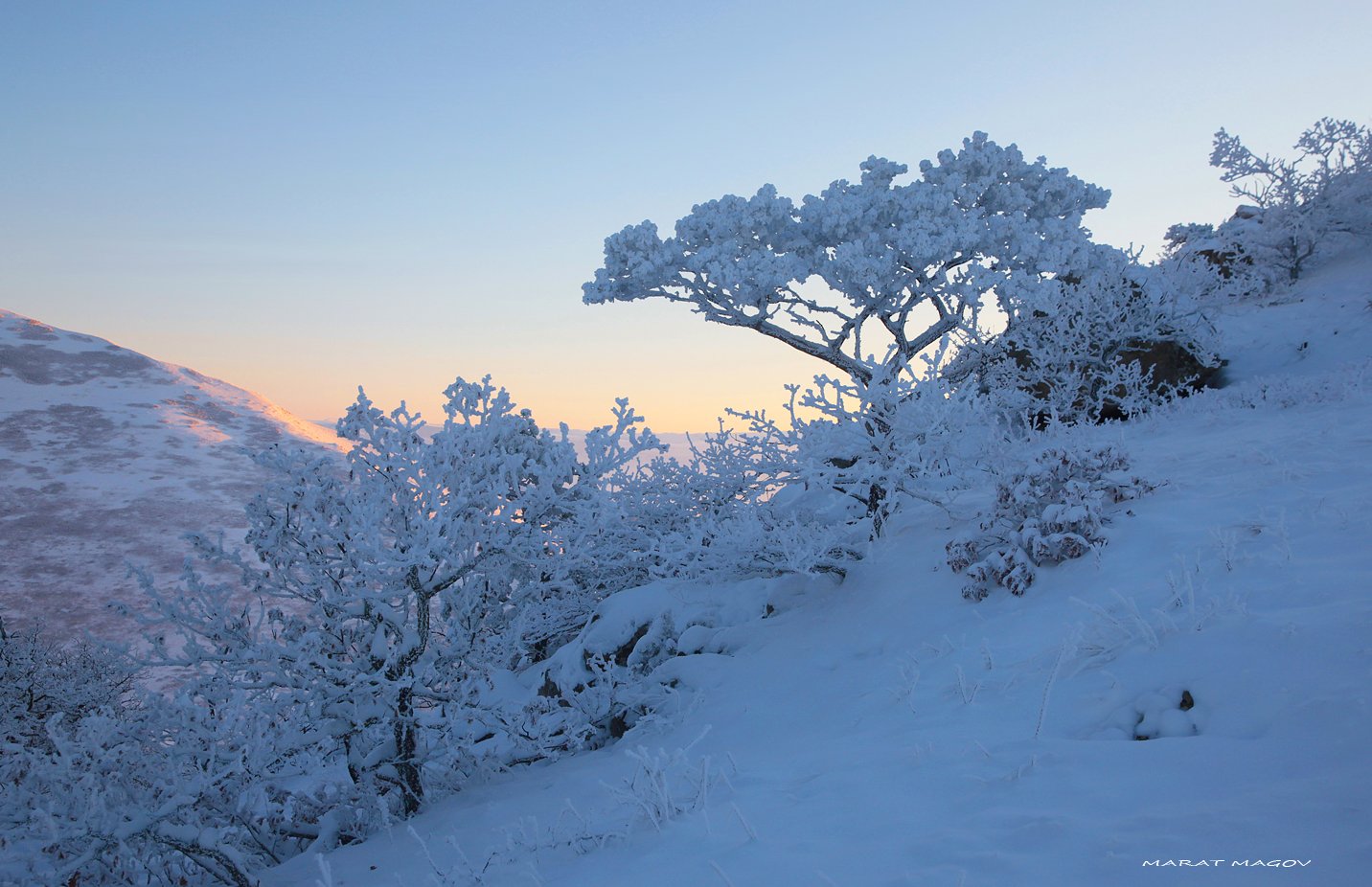 зима,вечер,пейзаж,дерево,снег,горы,дагестан,, Marat Magov