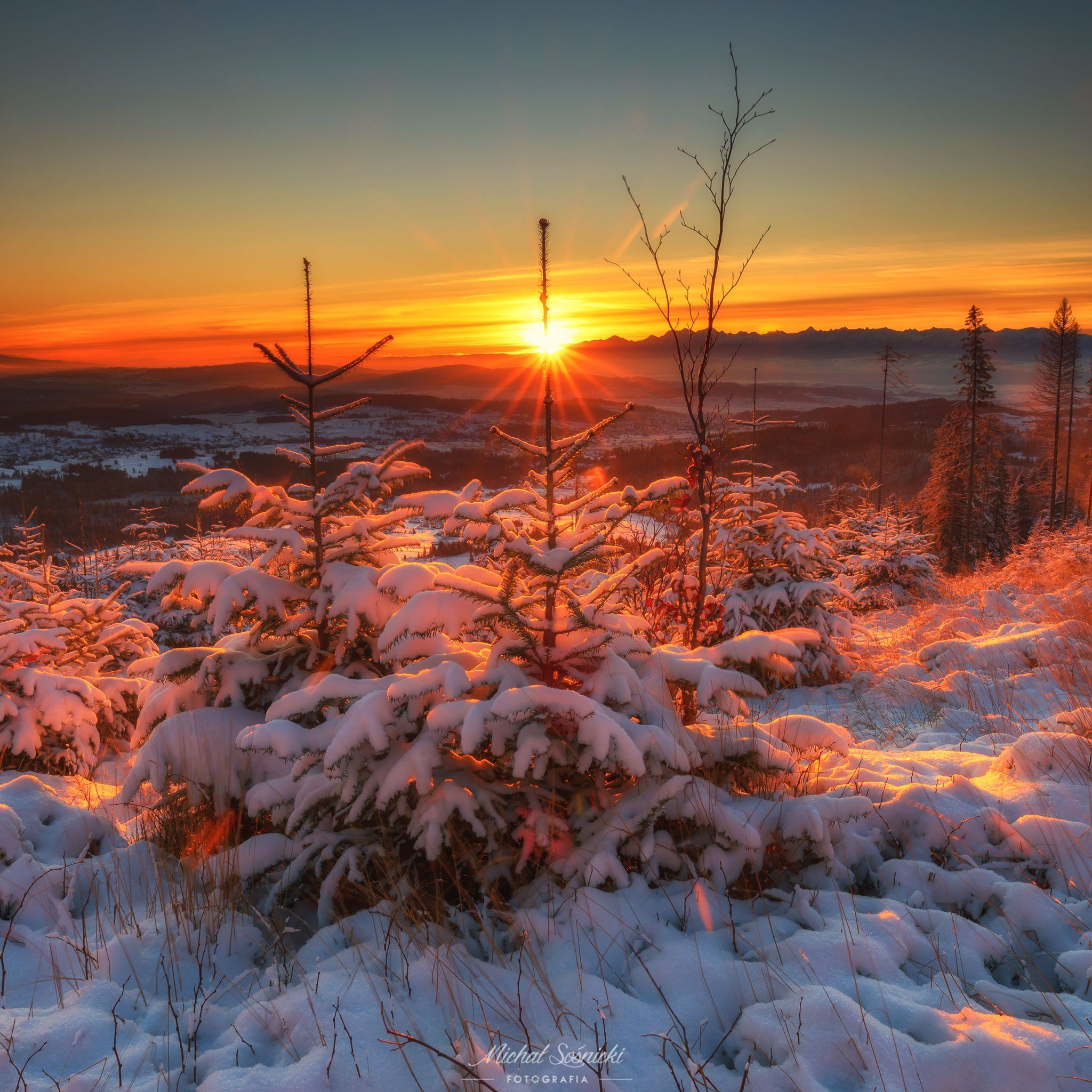 #sunrise #tree #poland #sky #clouds #light #highway #pentax #benro #tree #snow #winter, Michał Sośnicki