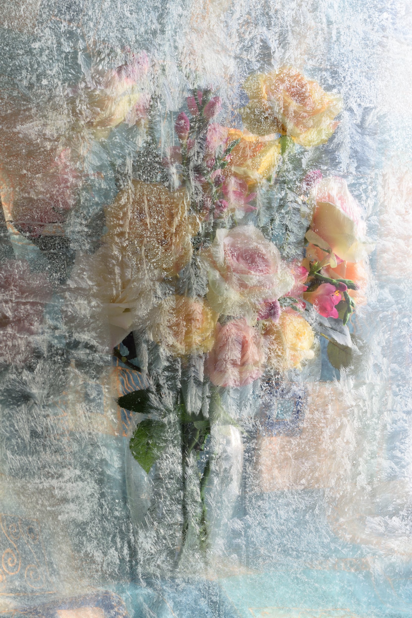 зима, цветы, мороз, стекло, Андрей Морозов