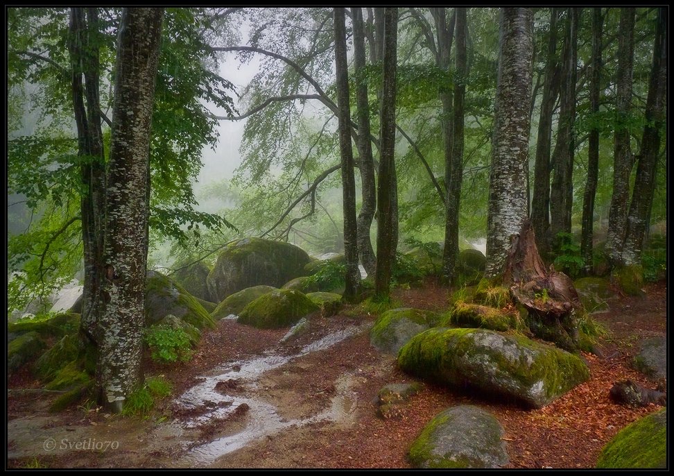 vitosha, bulgaria, Svetoslav