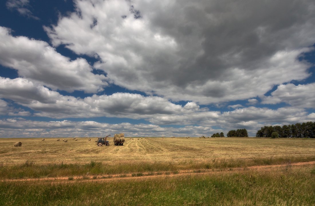 поле, трава, трактор, тележка, сено, рулоны, лес, облака, лето, Георгий Машковцев