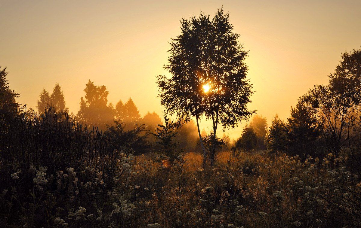 , Александр