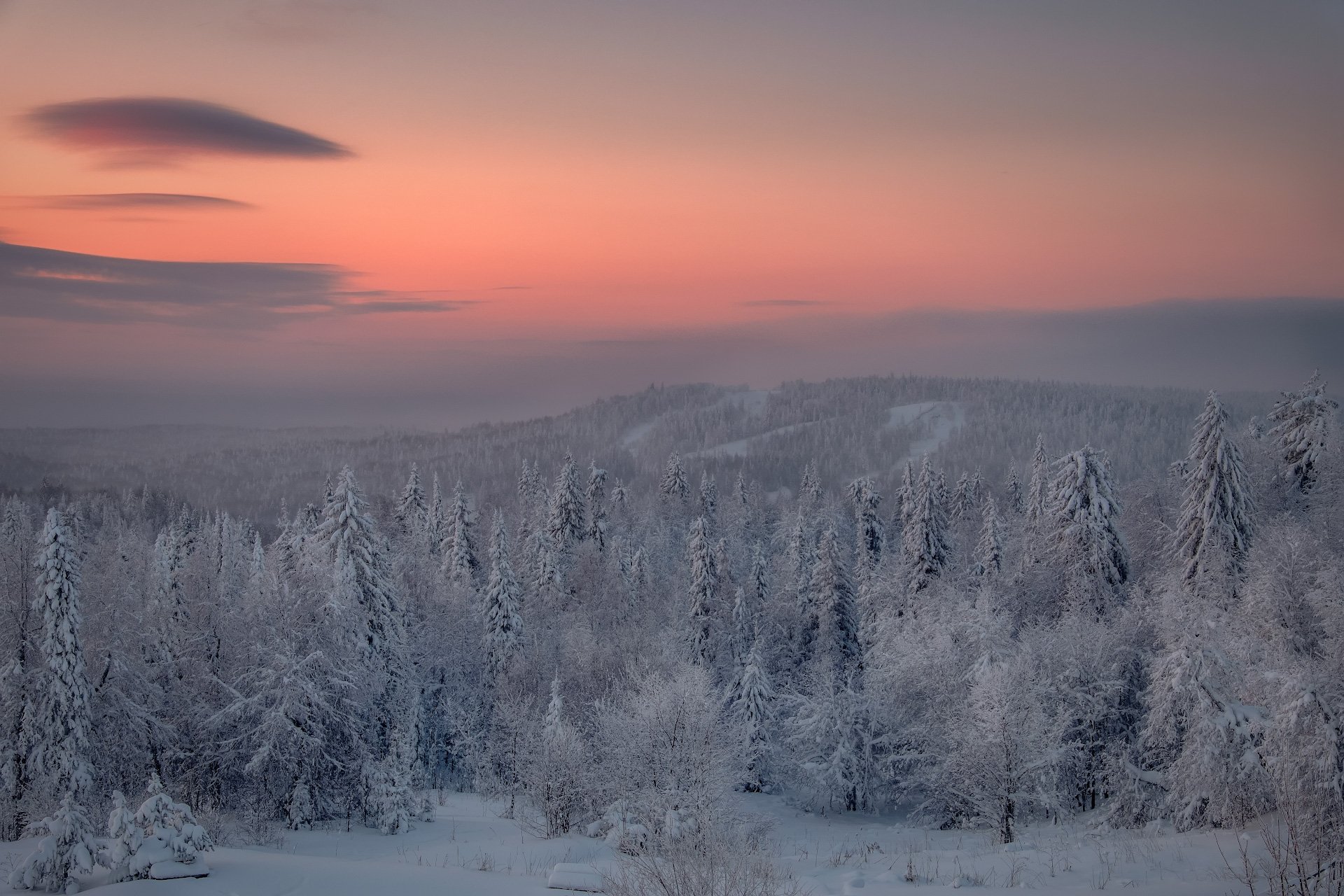 тайга, лес, деревья, зима, рождество, ночь, холод, мороз, белая, гора, Андрей Чиж