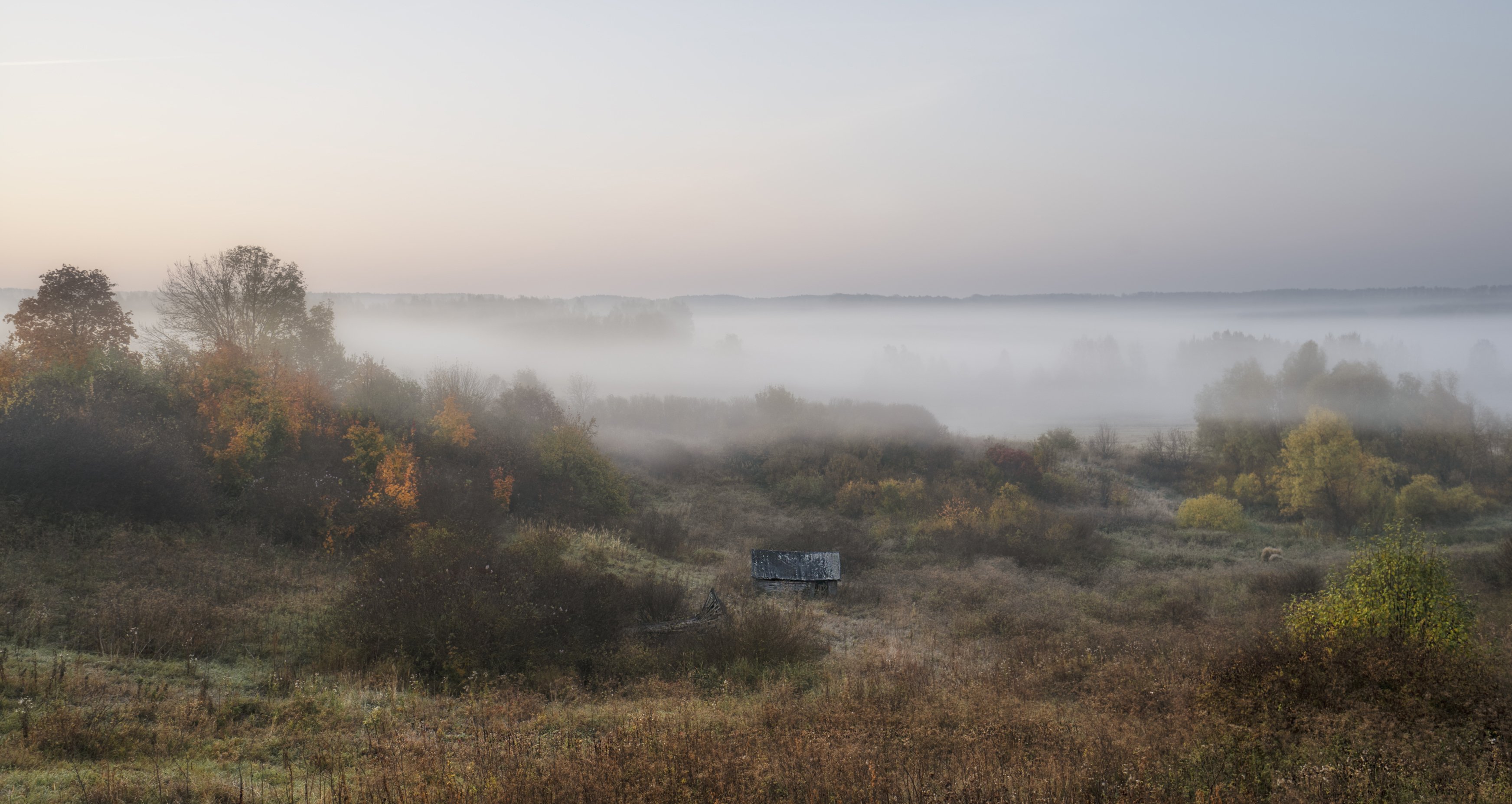 октябрь, утро, туман, Андрей Колесов