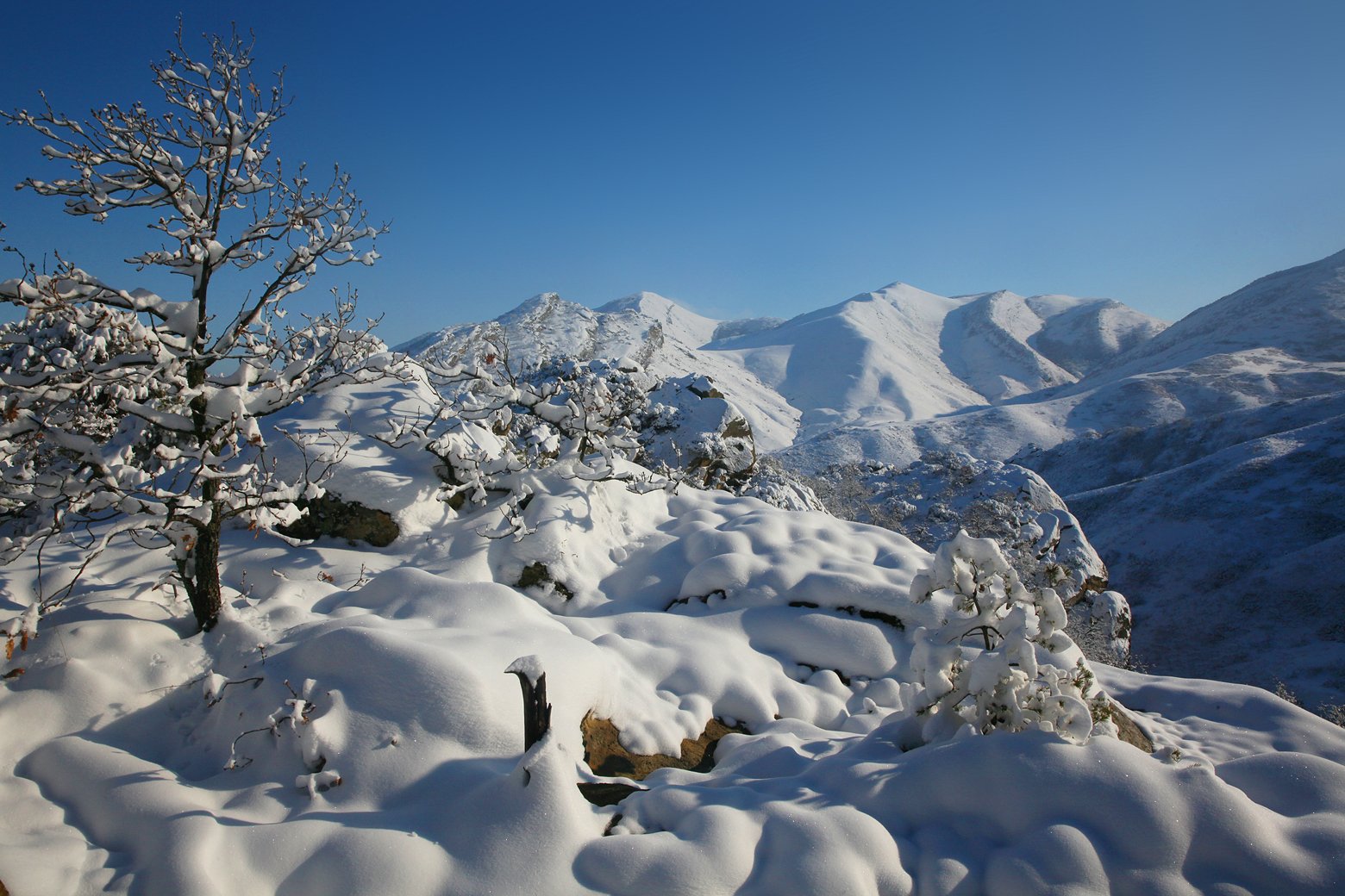 зима,деревья,горы,вечер,снег,пейзаж,природа,дагестан.., Marat Magov
