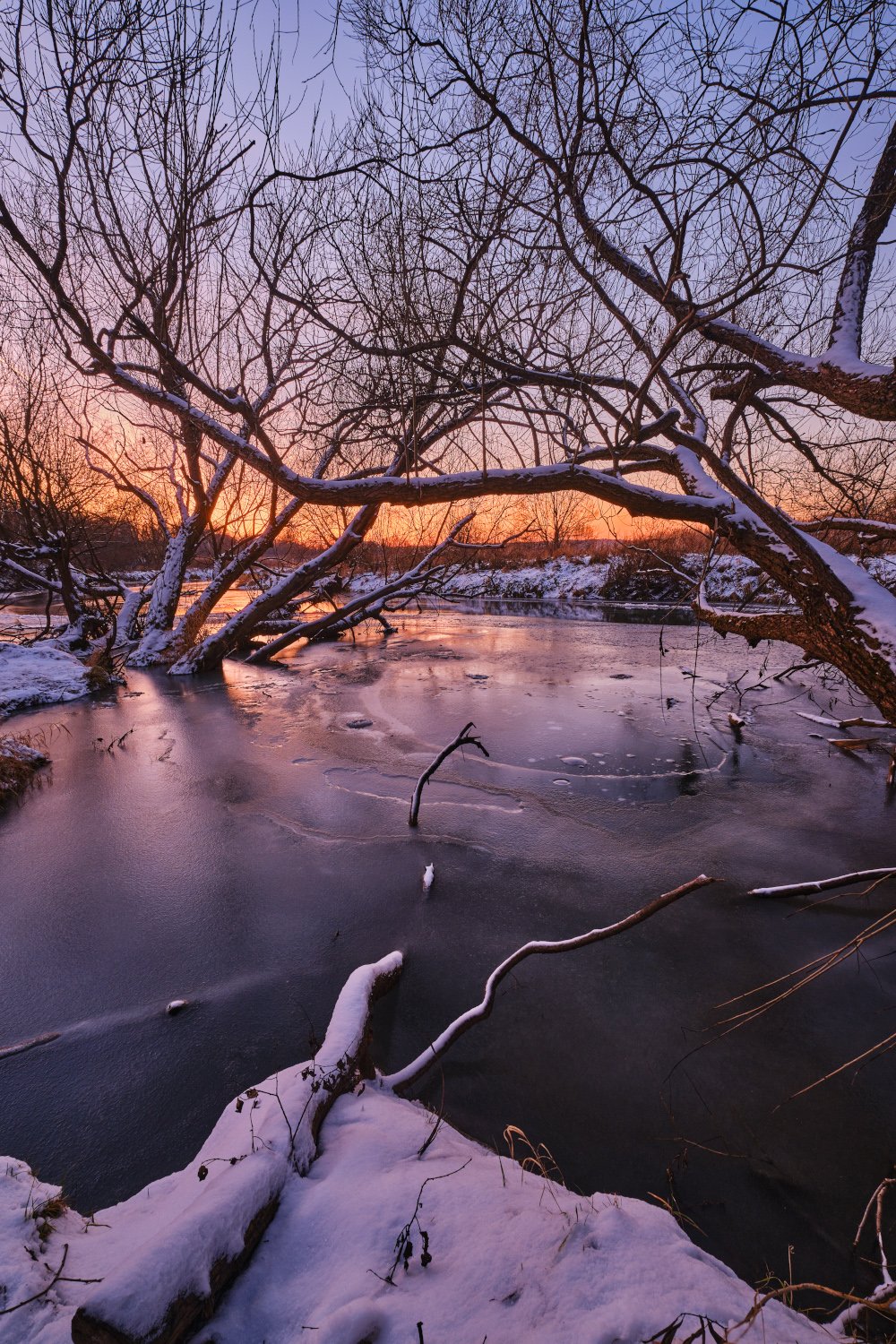 закат,зима,река,лёд,пейзаж,деревья,природа,подмосковье,fujifilm, Горшков Игорь