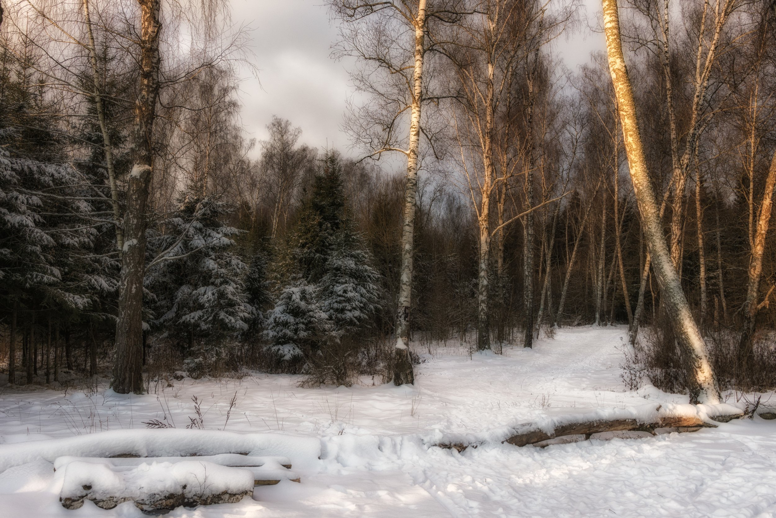 Картина Подмосковная зима. Катина Подмосковная зима Ивана Кочкина. Подмосковная зима