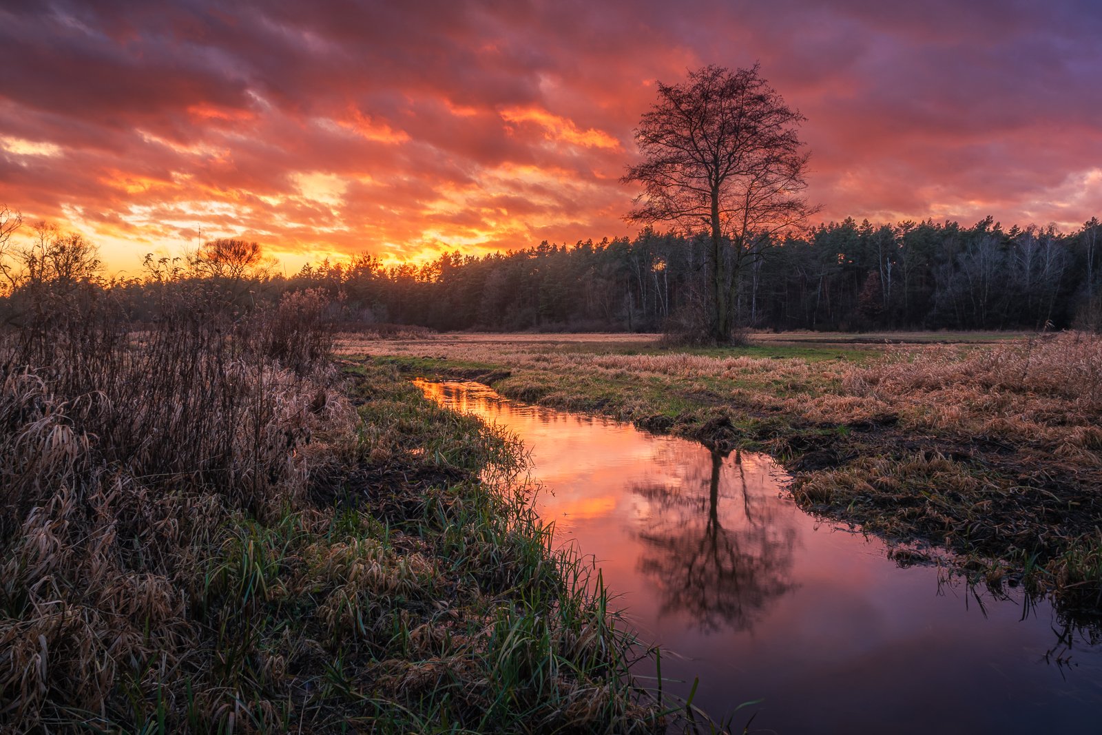 sunset, poland, chojnowski, landscape, park, tree, river, water, nature, clouds, Artur Bociarski