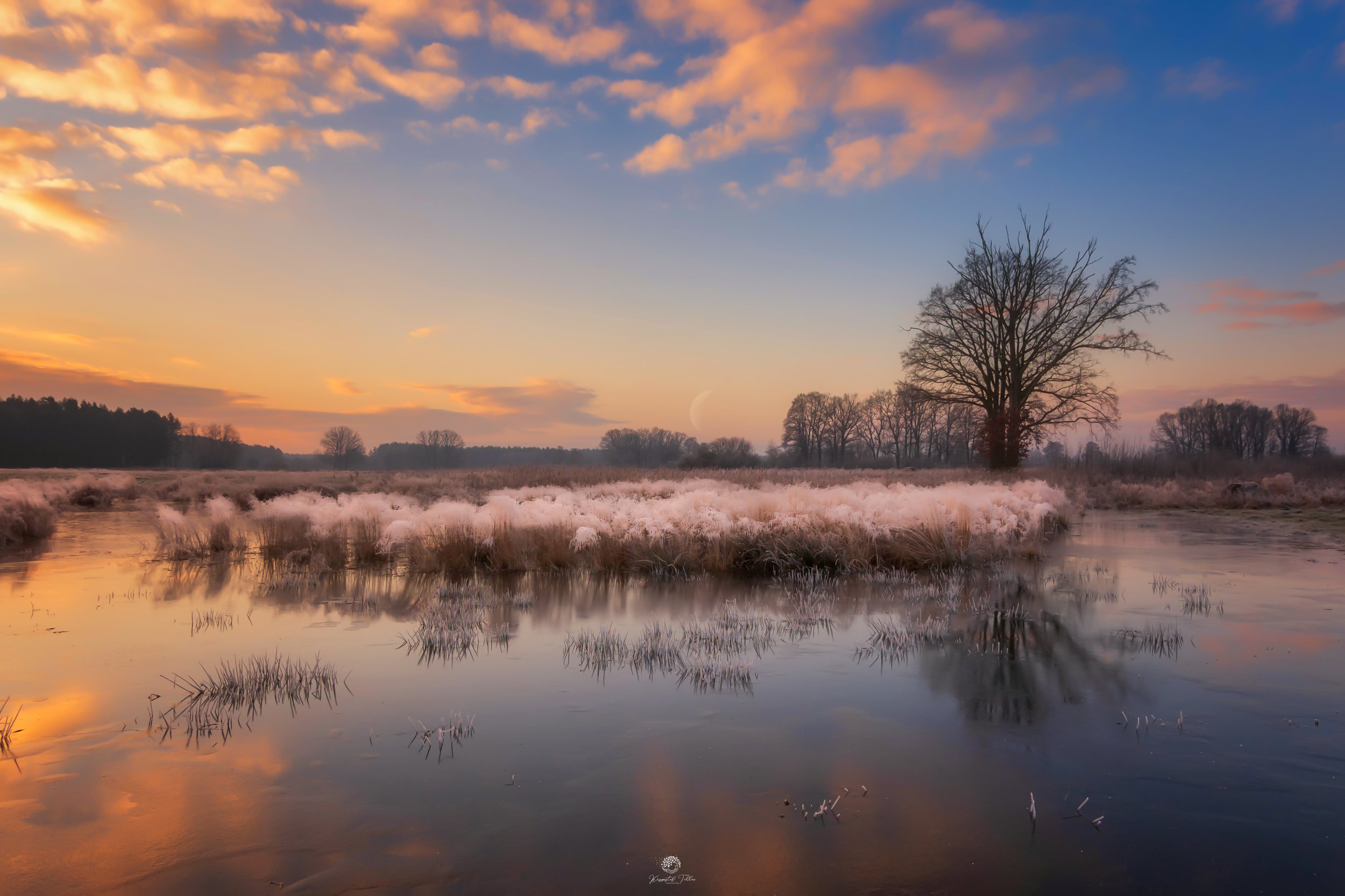 frost, reflection, water, sky, frost, landscape, december, nikon, sunrise, nature, forest, tree, moon, clouds, Krzysztof Tollas