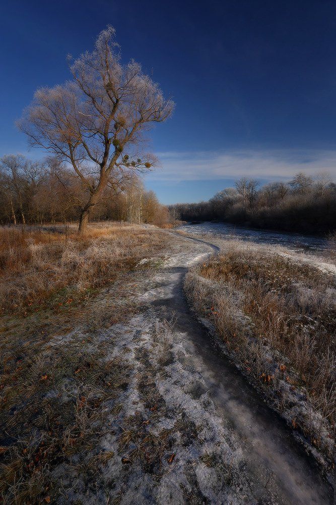 зима, декабрь, иней, мороз, пейзаж, Петриченко Валерий