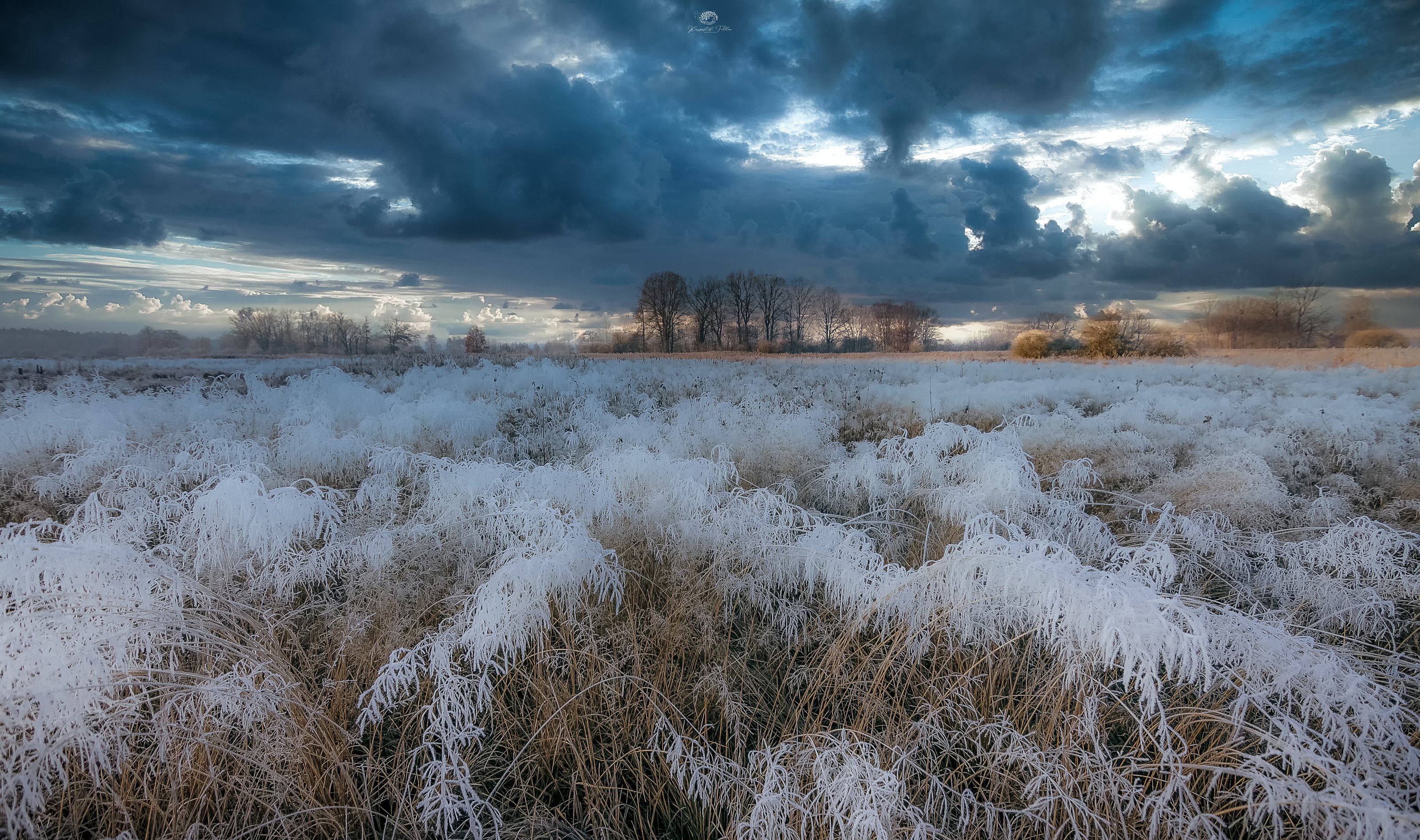 Frost, reflection, sky, frost, landscape, december, nikon, sunrise, nature, forest, tree, clouds, Krzysztof Tollas