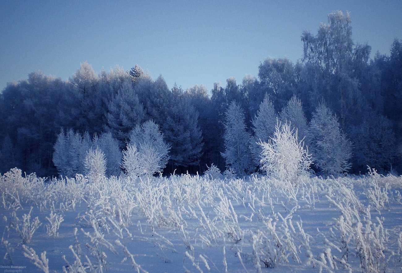 #природа, #пейзаж, #зима, #лес, #nature, #landscape, #forest, #snow, #winter, Romanov Denis