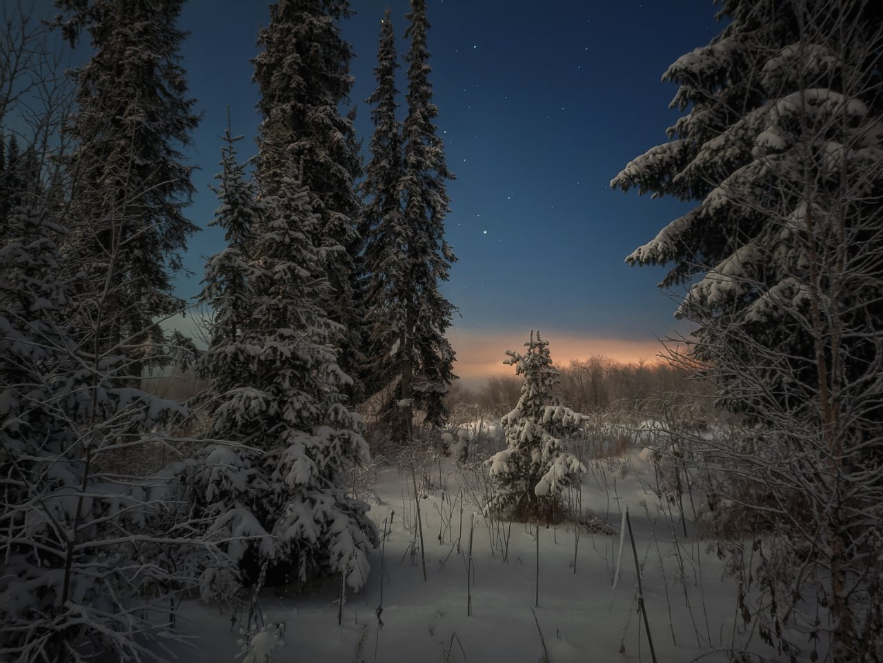 печора,ночь,звезды, Игорь Подобаев