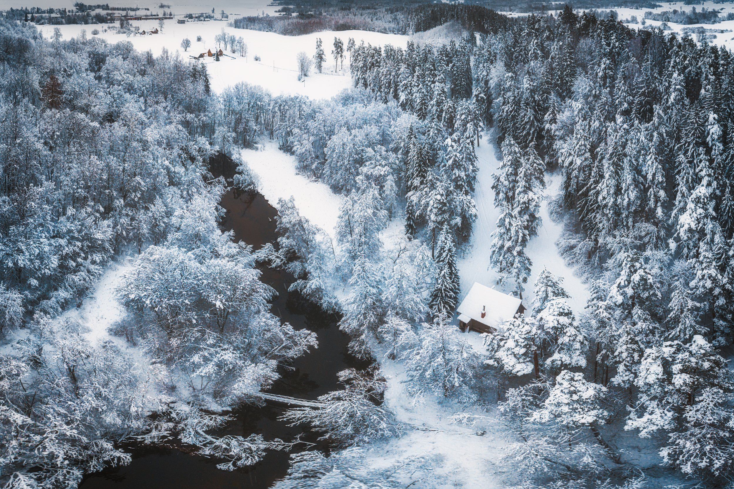 landscape,winter,snow,river,forest,trees,nature,frozen, Olegs Bucis