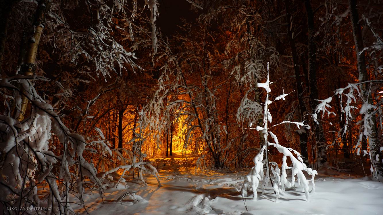 пейзаж, николай дмитрук