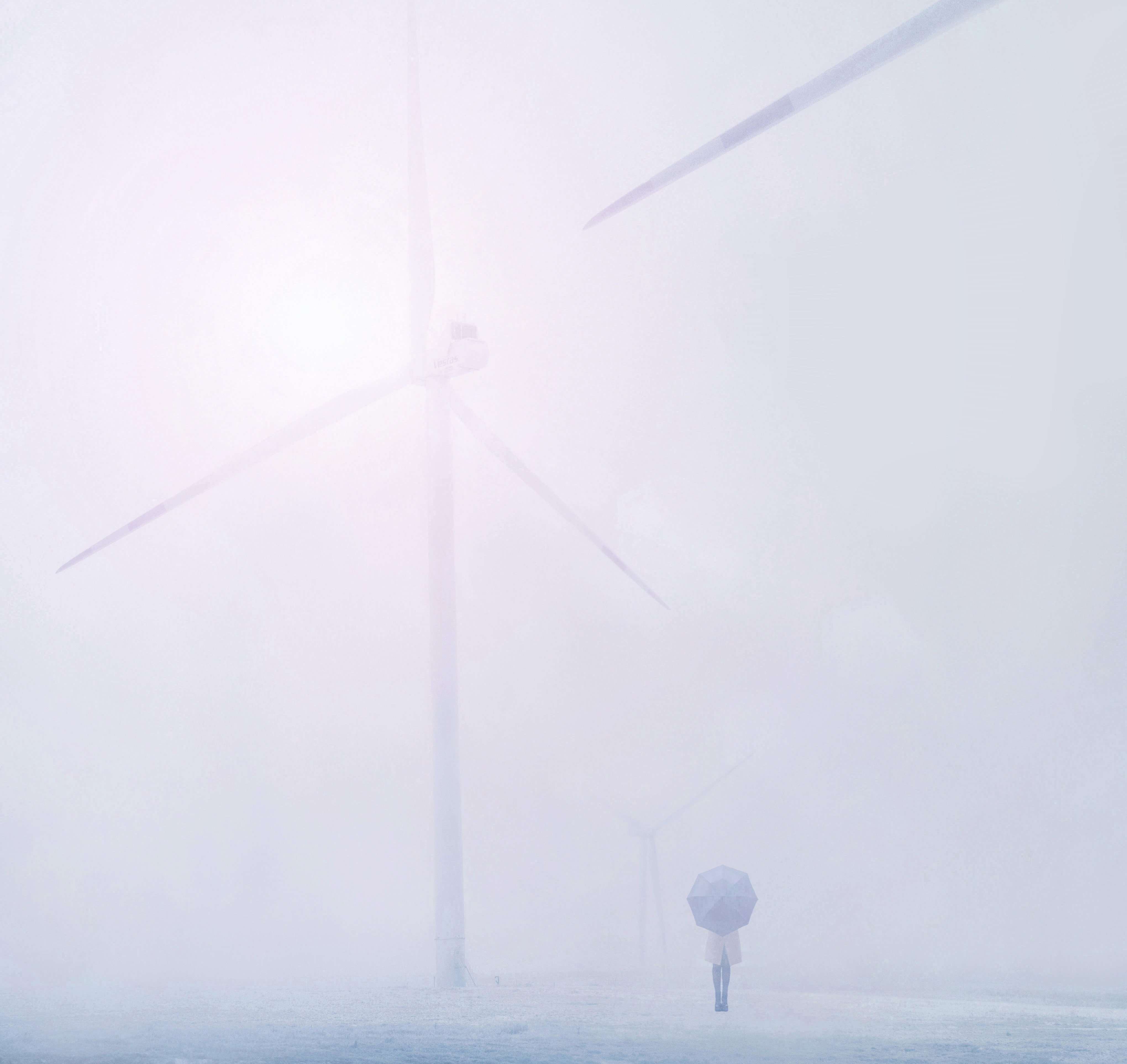 ветропарк,туман,зима,зонт, Мария Буданова