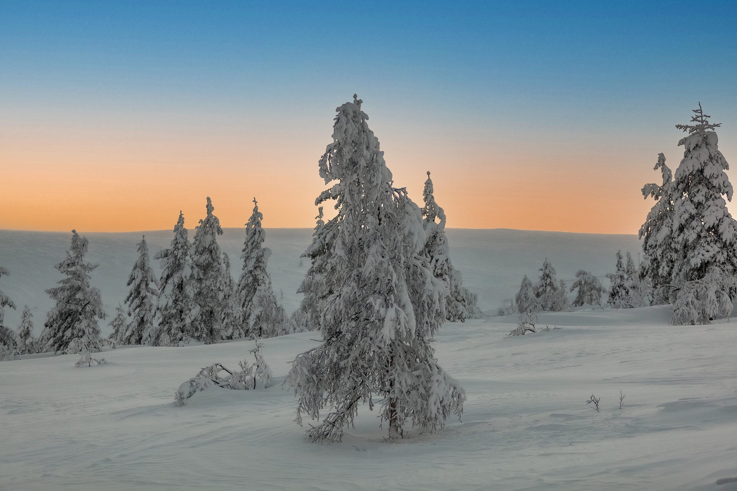 зима, день, пейзаж, снег, небо, Александр Игнатьев