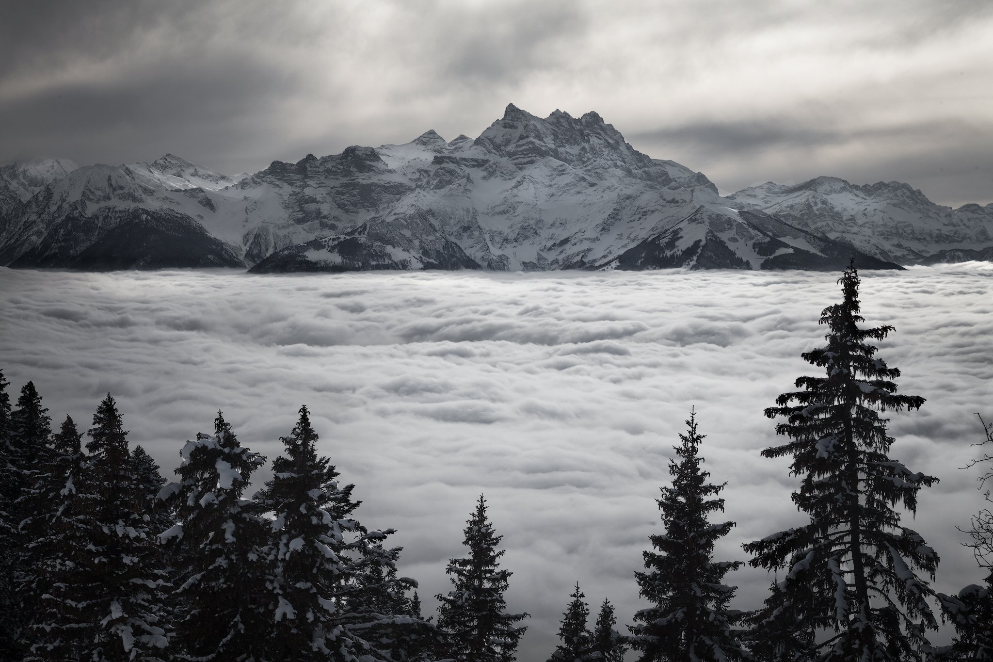 горы,снег, туман, облака, швейцария, солнце,воздух, Андрей Огнев