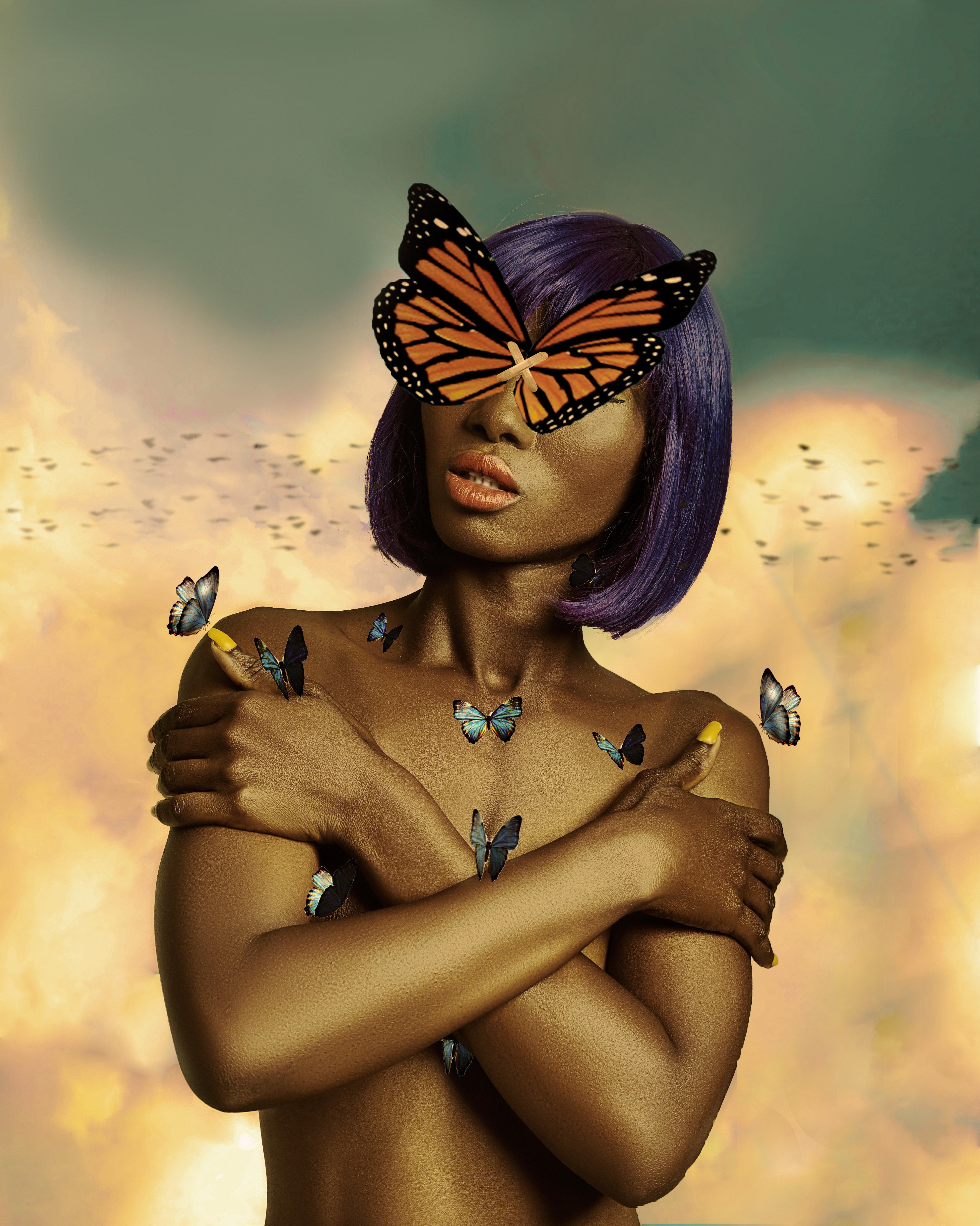 Conceptual, butterflies, manipulation,colorful,studio, Gilbert Anthony