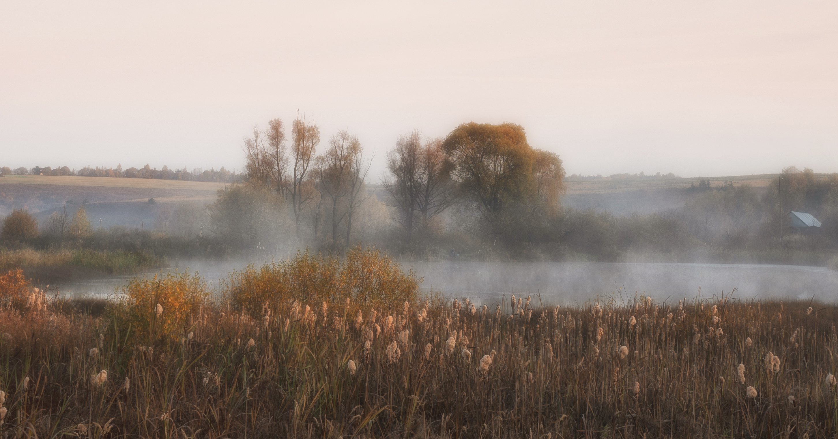 октябрю утро туман природа, Андрей Колесов