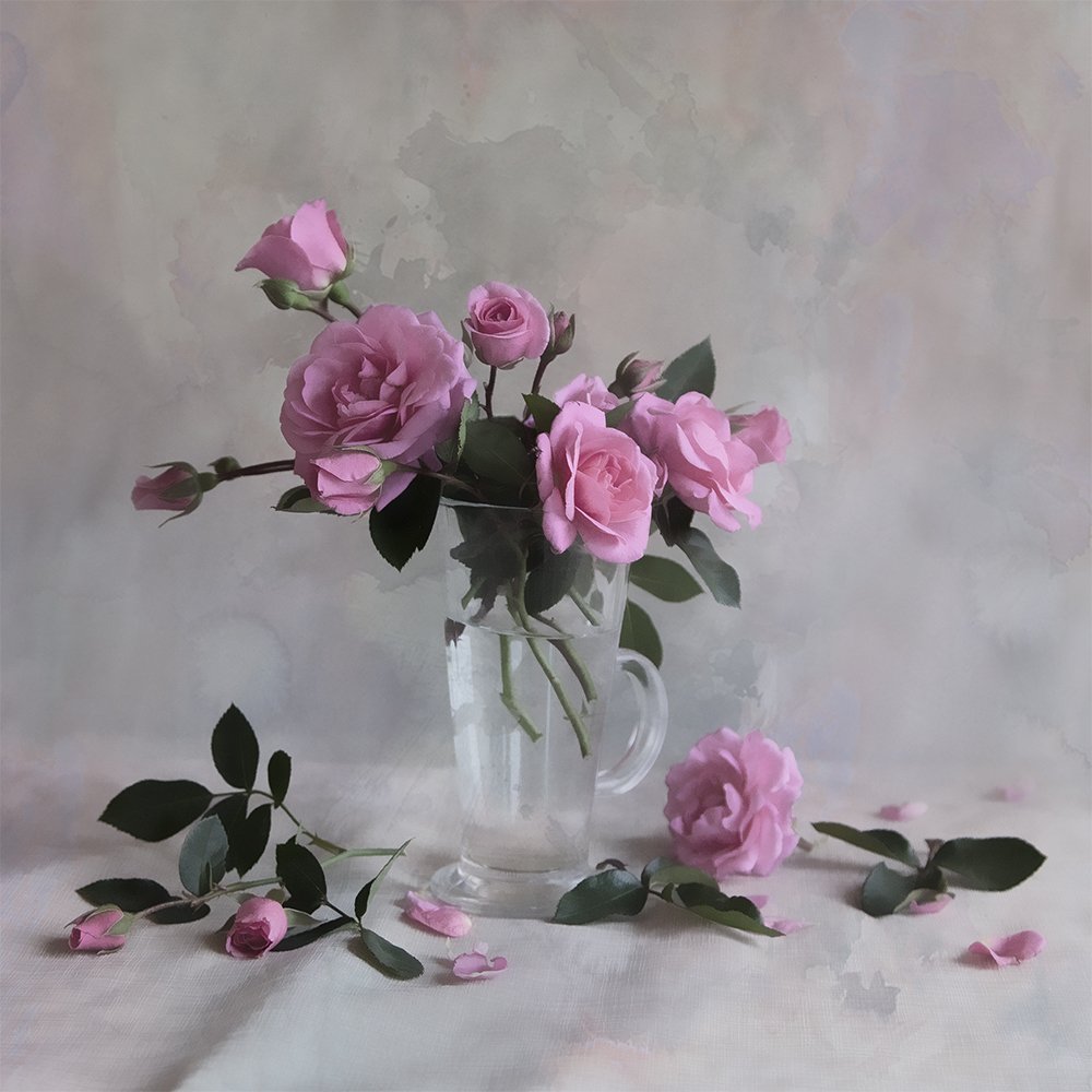 Розы, Татьяна Назмутдинова