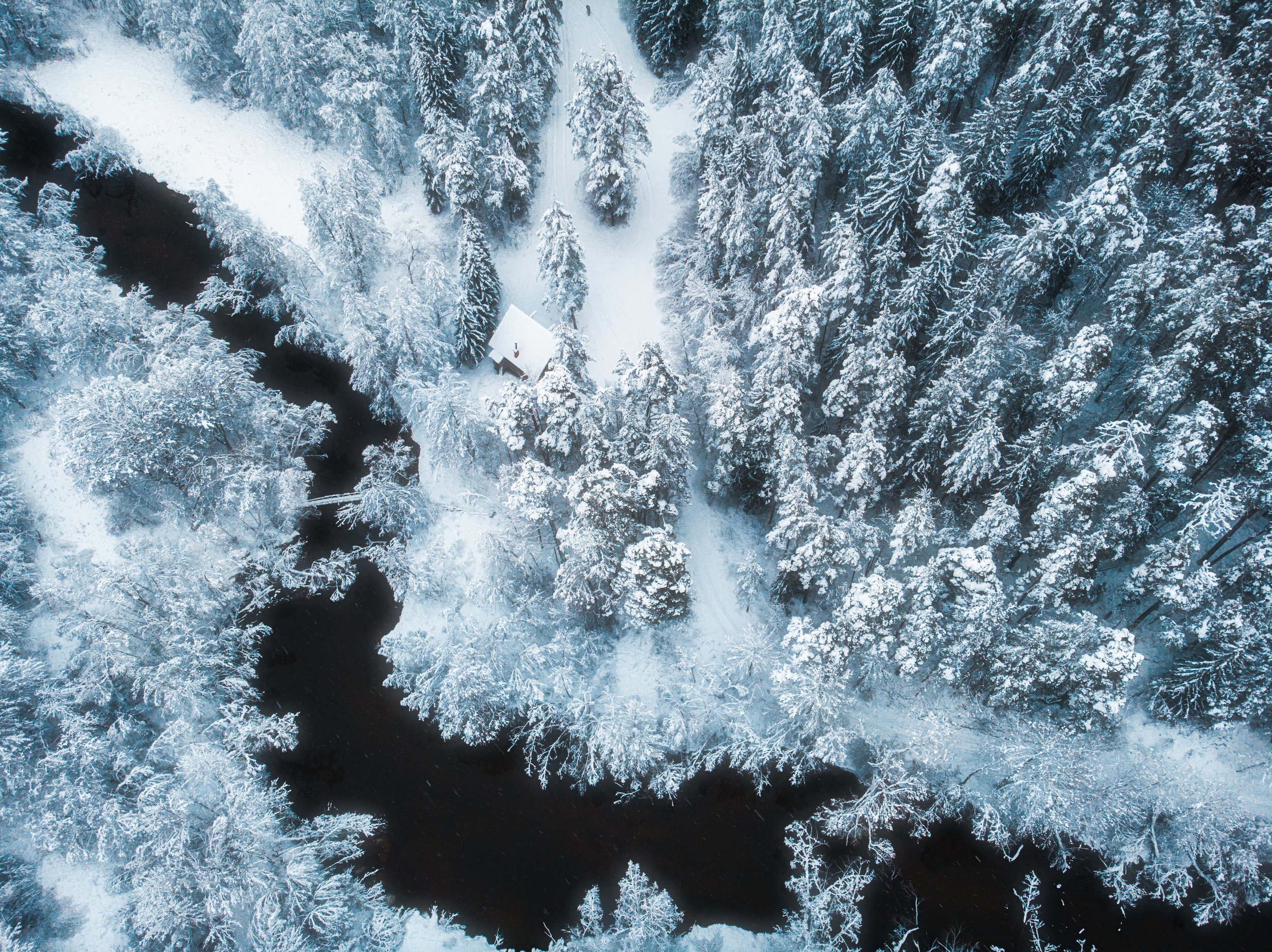 landscape,winter,snow,nature,drone,beautiful, Olegs Bucis