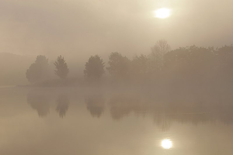 туман, утро, рассвет, лето, отражение, природа, пейзаж, Svetik