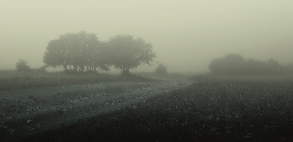туман, Safronoff Andrew
