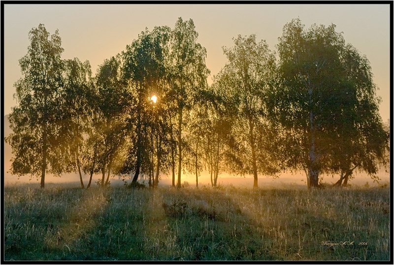 утро,туман, Качурин Алексей