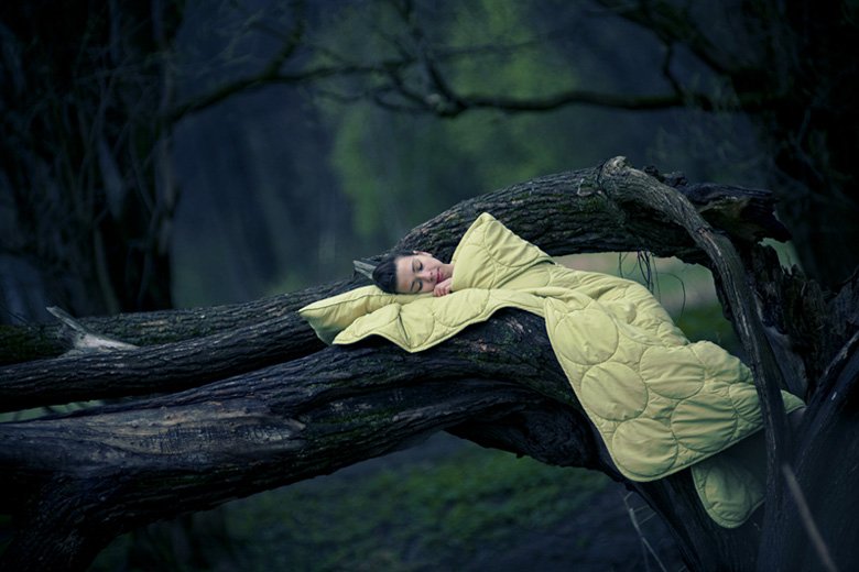 девушка, дерево, одеяло, лес, фея, сон, Yaroslav V. Kloos