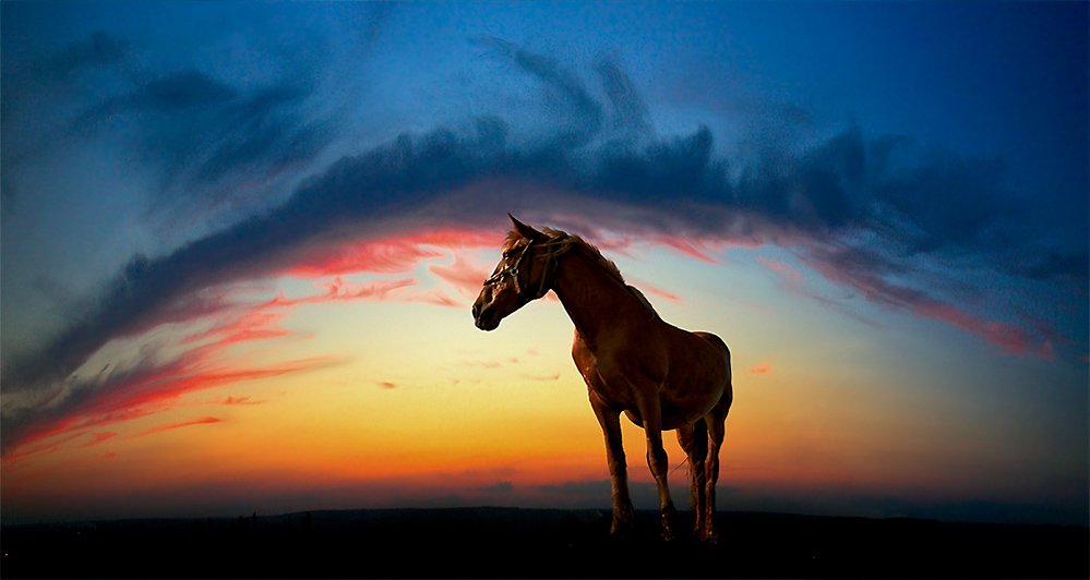 лошадь, небо, дуга, Yuri Mart