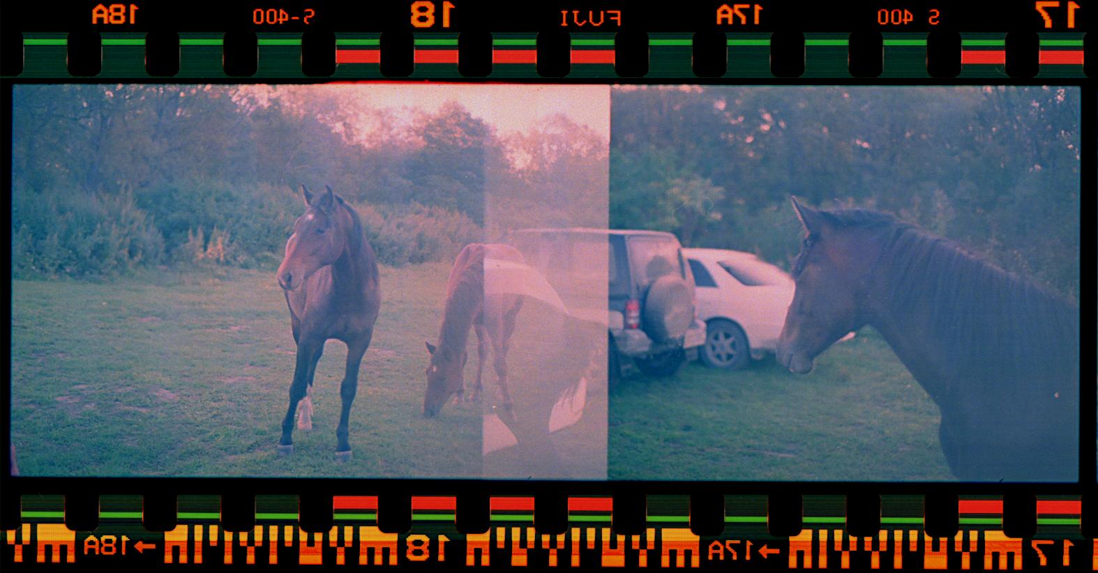 horse-car!, nefardepp