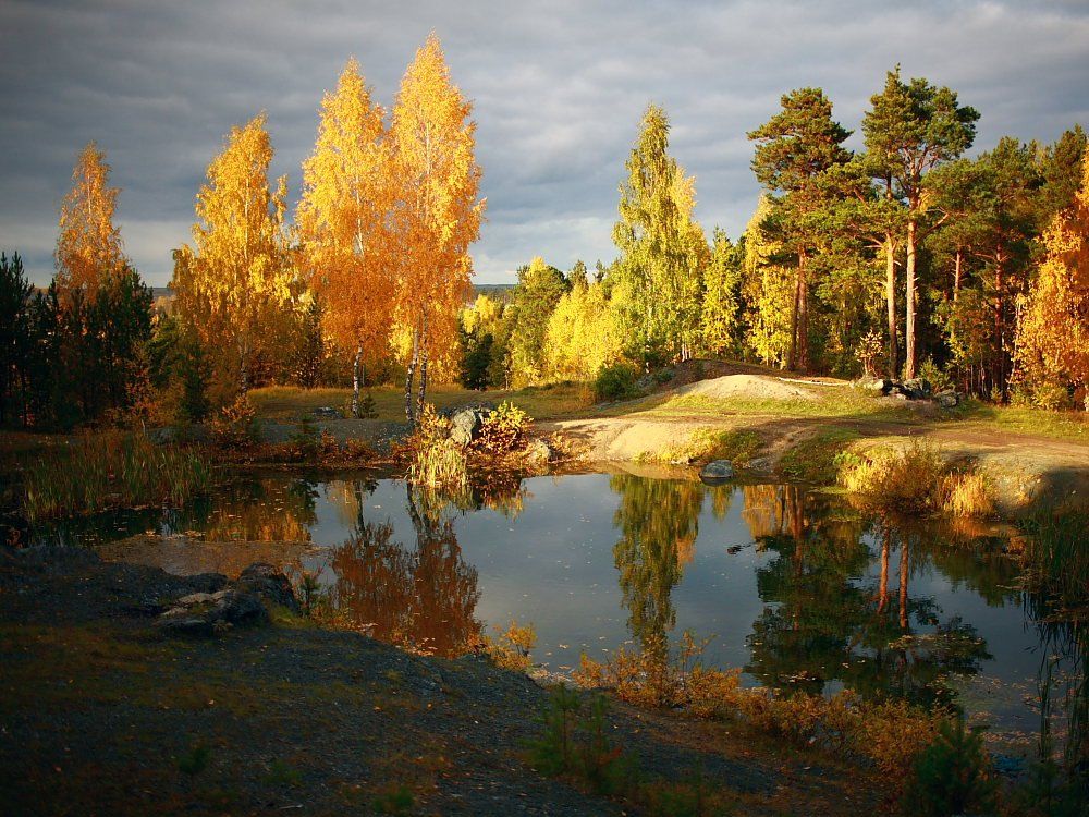 осень, пейзаж, Eugene M Dudarev