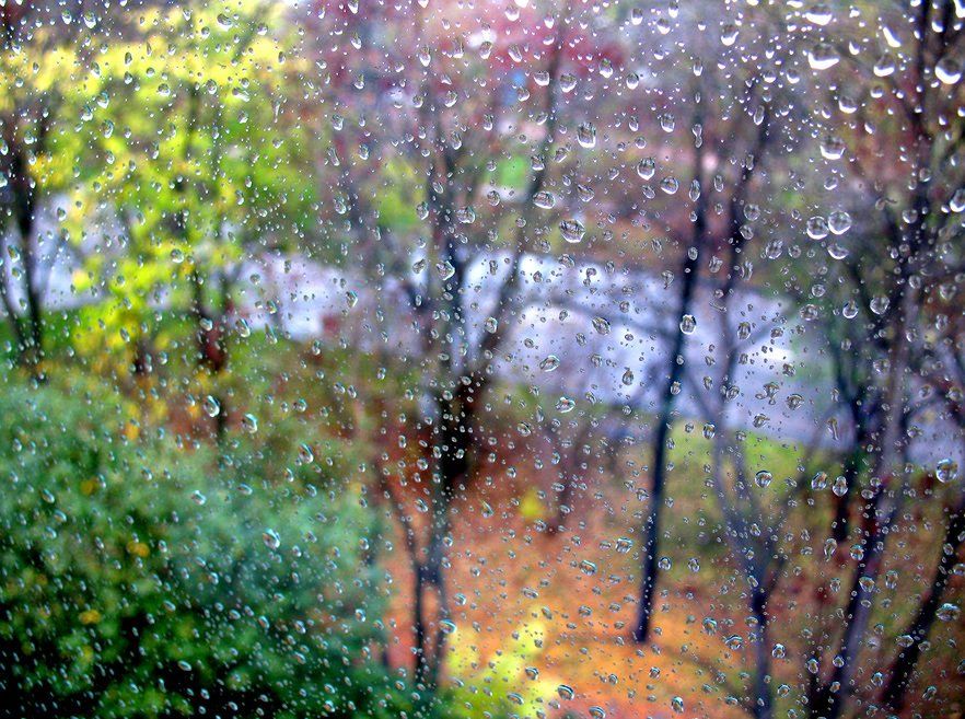 осень , дождь , красота, Safronoff Andrew