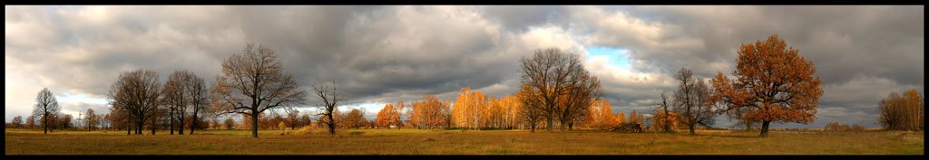 осень,панорама,дубы, VTORNIK Эдуард Николаев
